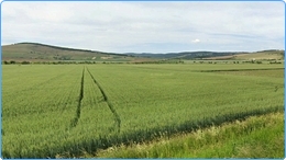 346 hectares of plots for wind turbines